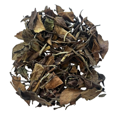 FuDing White Brow Shou Mei 福鼎白毛寿眉