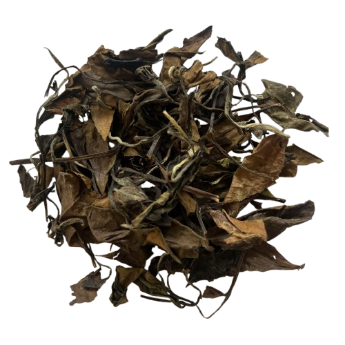 Fujian Silver Hair Tea 福建 银毫