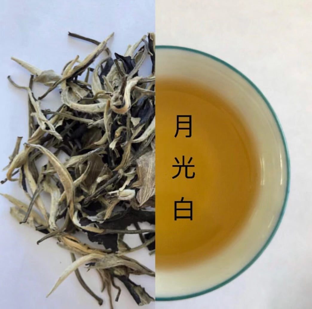 Moonlight White Tea 月光白