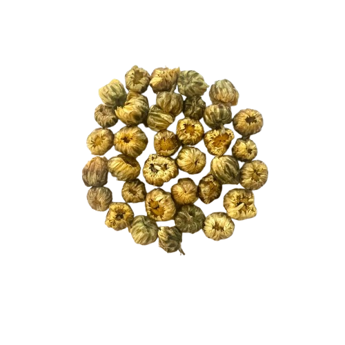 Baby Chrysanthemum Tea 胎菊